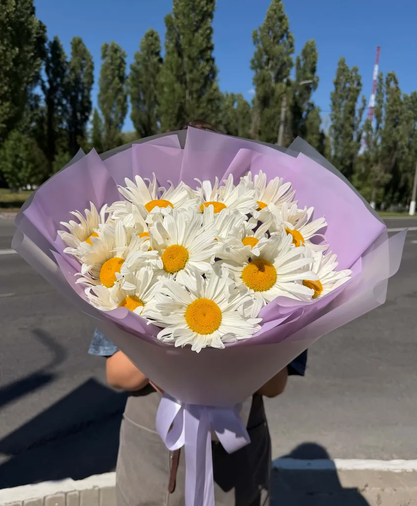 День Семьи